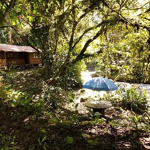 https://bosque-secreto-private-cabin-and-camping.hotelsquito.com
